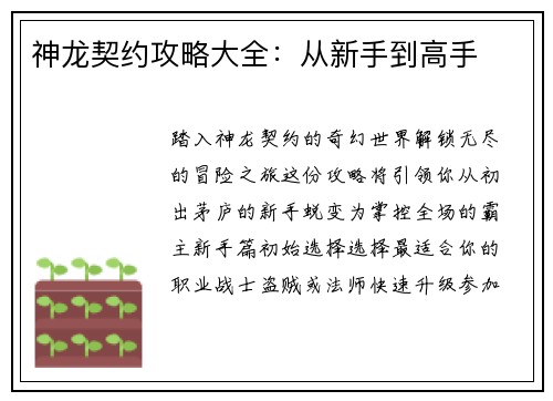 神龙契约攻略大全：从新手到高手