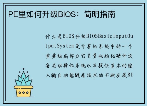 PE里如何升级BIOS：简明指南